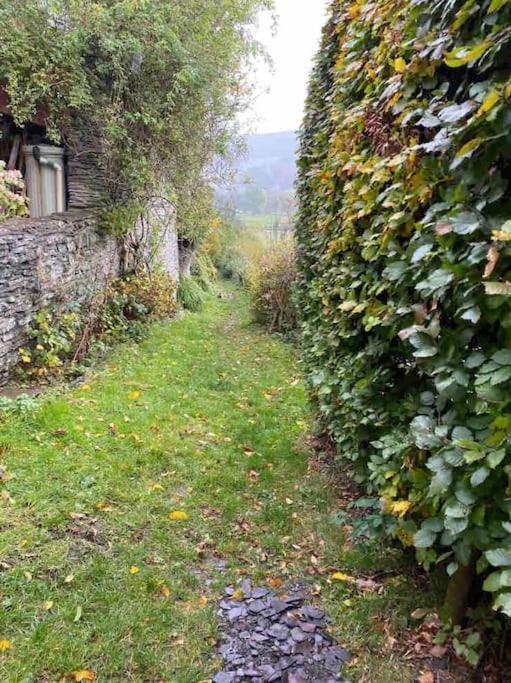 Lovely Peaceful 2 Bed Cottage Llandderfel Exterior foto